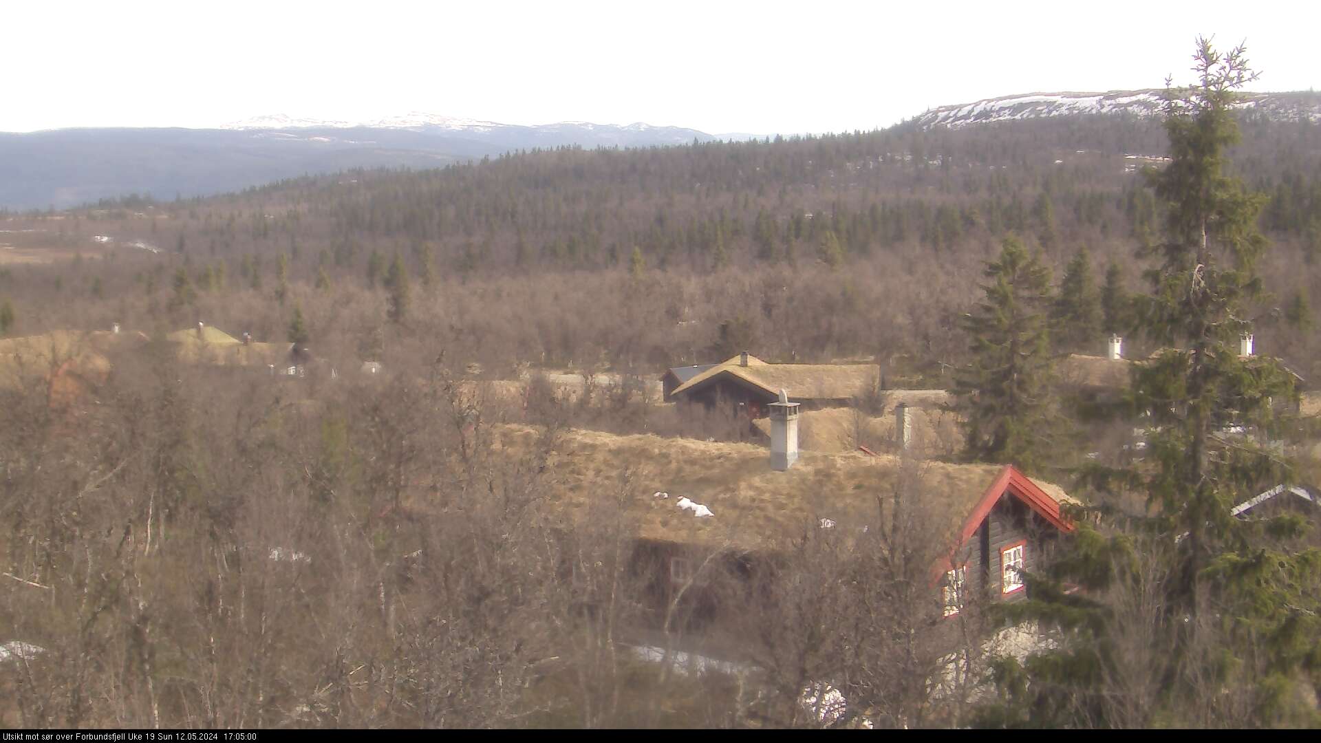 Webcam Jønnhaltmyra, Ringebu, Oppland, Norwegen