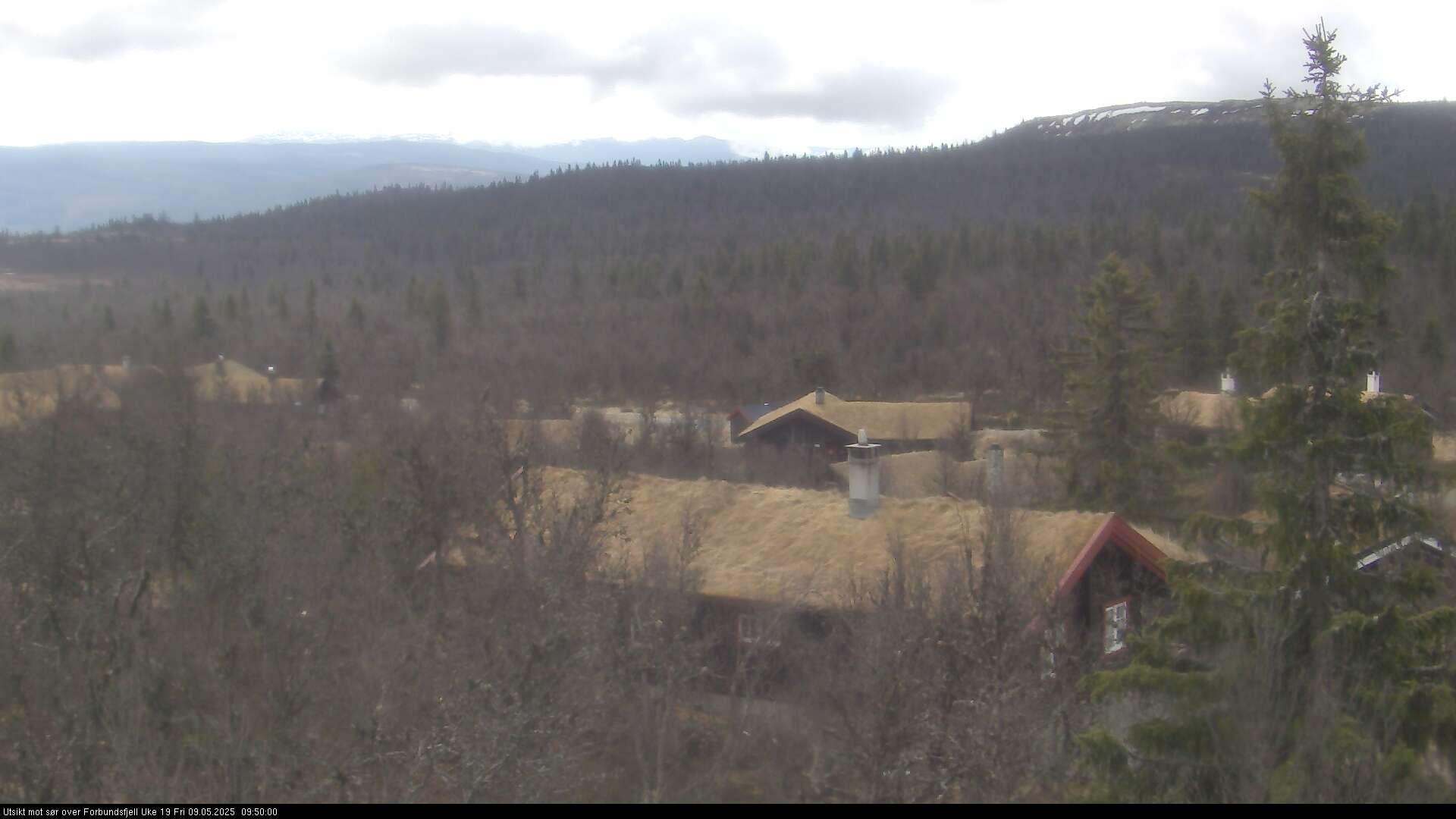 Webcam Jønnhaltmyra, Ringebu, Oppland, Norwegen