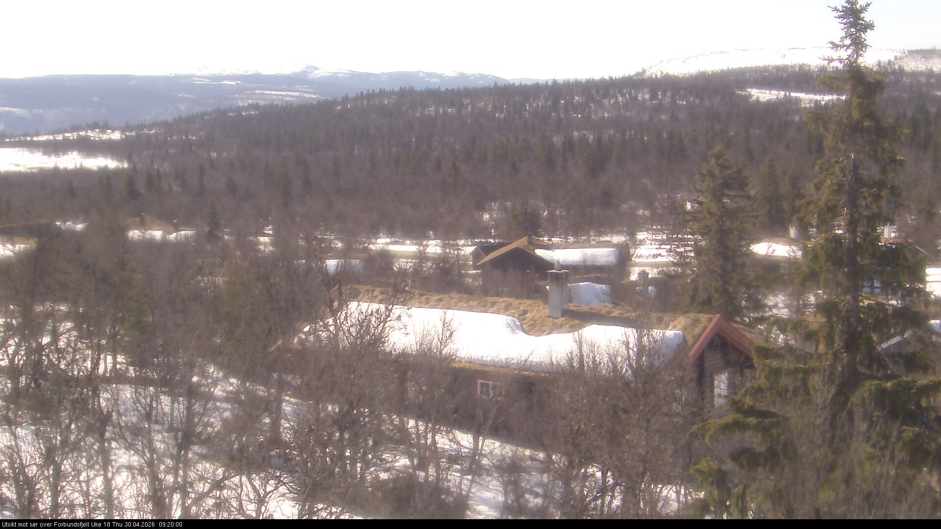 Webcam Jønnhaltmyra, Ringebu, Oppland, Norwegen